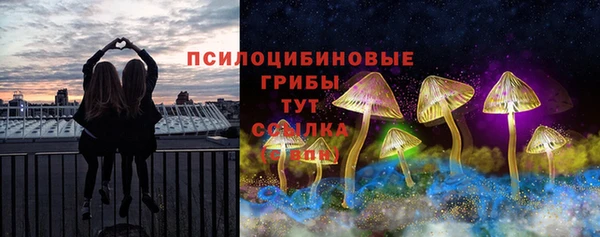 мяу мяу мука Арсеньев