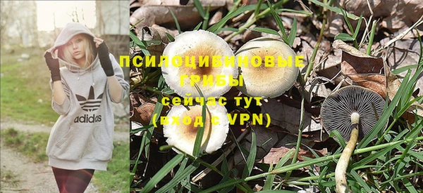 мяу мяу мука Арсеньев