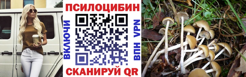 Псилоцибиновые грибы ЛСД  хочу   MEGA вход  Холмск 